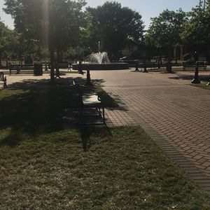 Meet your Posher, Destiny